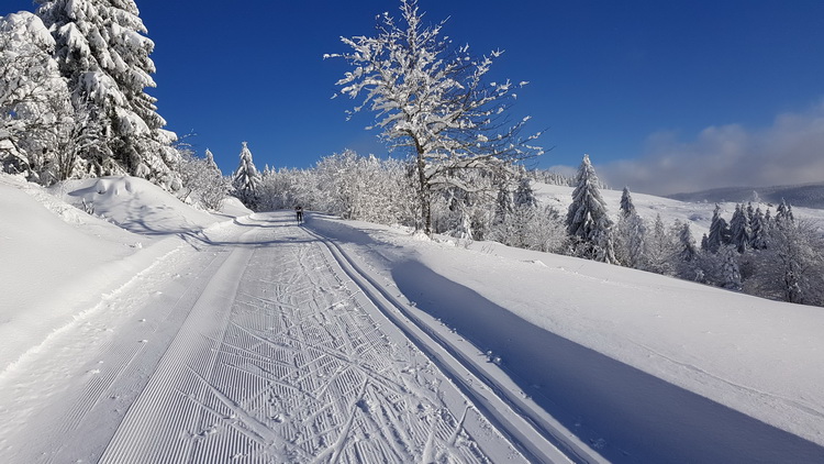 La Bresse été : www.petitecaille.fr